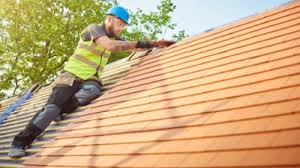 Best Roof Moss and Algae Removal  in Annapolis, MD